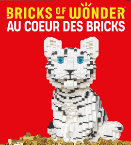 expo-lego-bricks-of-wonder-paris